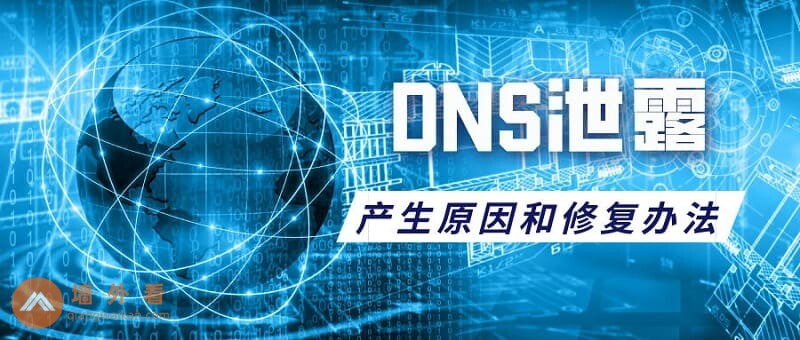 DNS泄漏(产生的原因和修复办法)